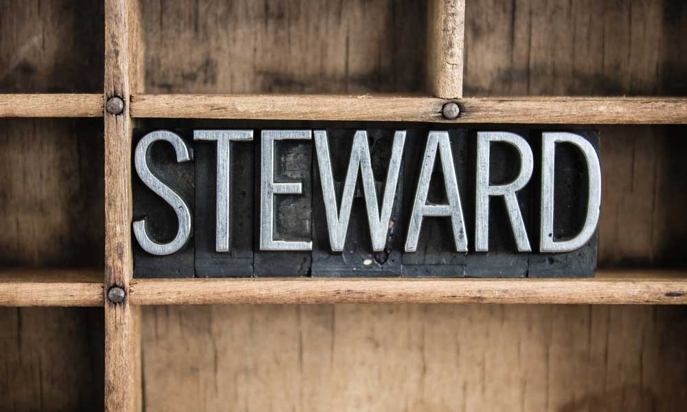 Stewardship